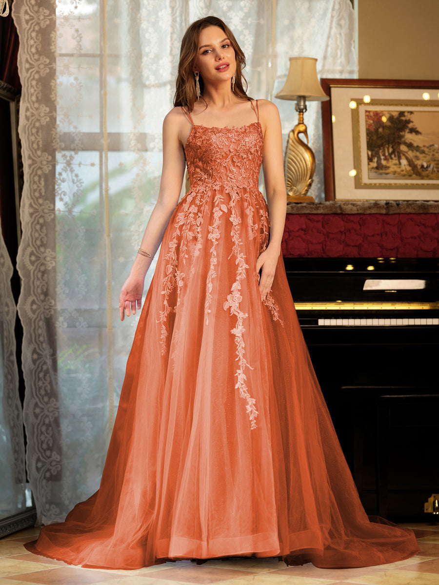 Corte A/Princesa Tule Alcinhas Apliques Longos Vestidos de Baile