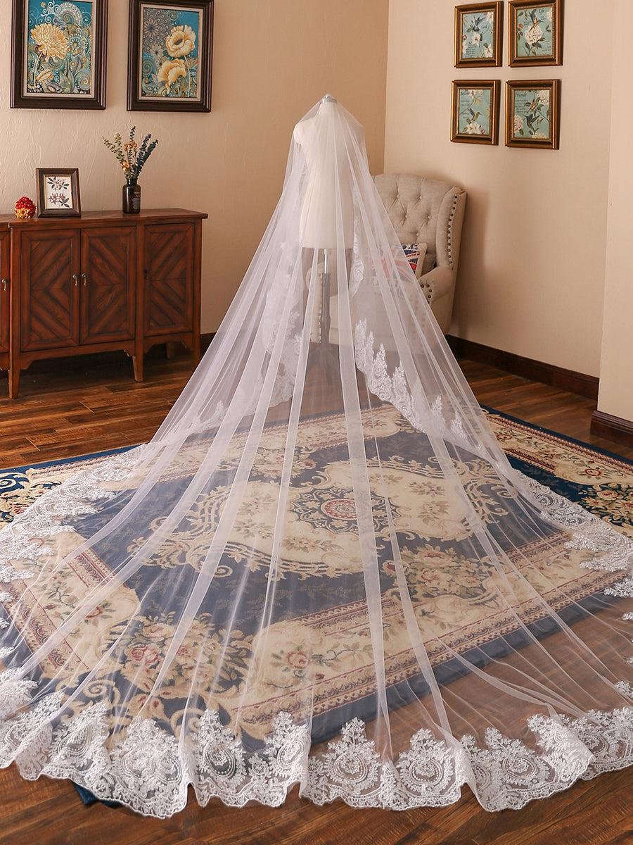Tule Luxuoso com Véus de Noiva Longos com Miçangas