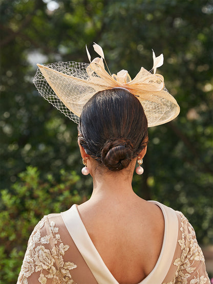 Fascinadores Elegantes em Tule com Penas