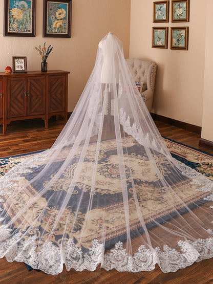Tule Luxuoso com Véus de Noiva Longos com Miçangas